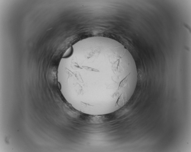 X0000102760527200809080944