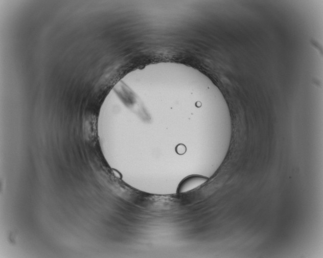 X0000102760528200809080944