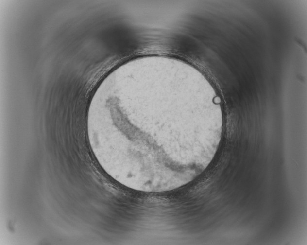 X0000102760529200809080943