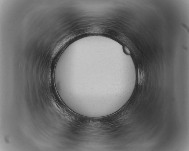 X0000102760531200809080943