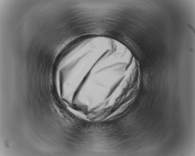 X0000102760532200809080943