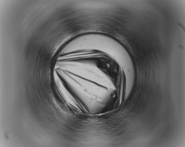 X0000102760534200809080943