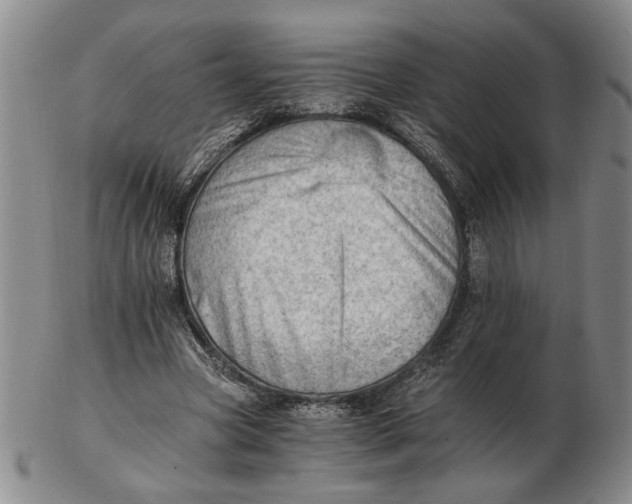 X0000102760537200809080944