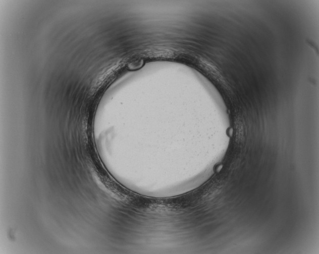 X0000102760538200809080944