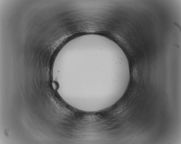 X0000102760540200809080944