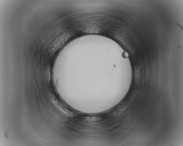 X0000102760541200809080944