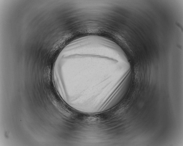 X0000102760542200809080944