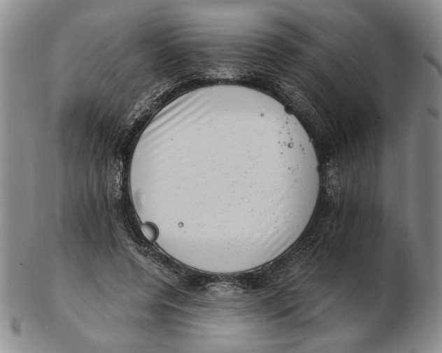 X0000102760544200809080944