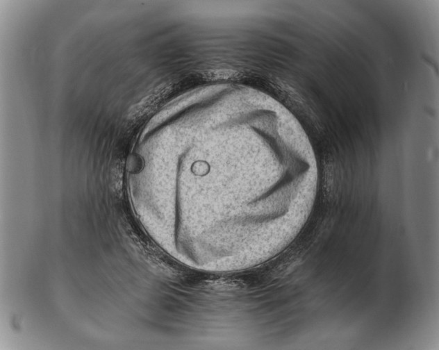 X0000102760545200809080944