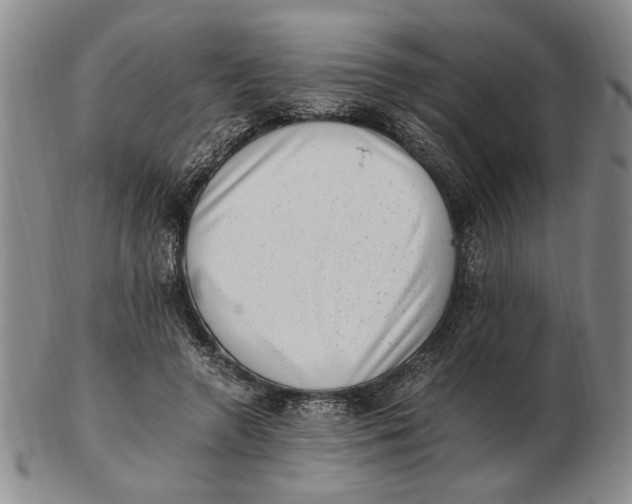 X0000102760546200809080944