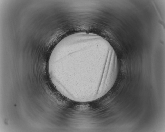 X0000102760548200809080944