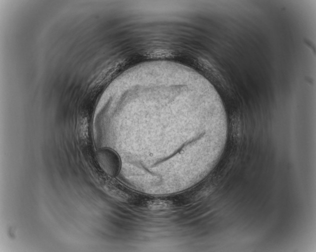 X0000102760549200809080944