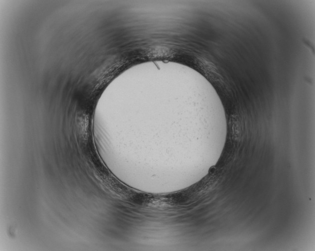 X0000102760550200809080944