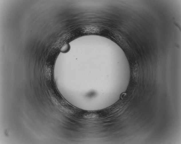 X0000102760551200809080944