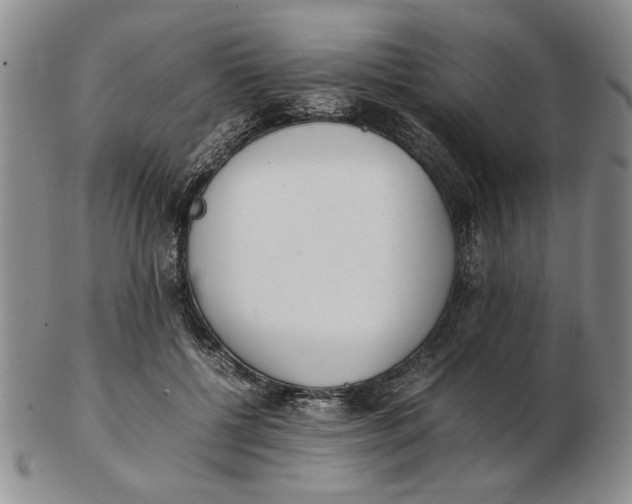 X0000102760552200809080944