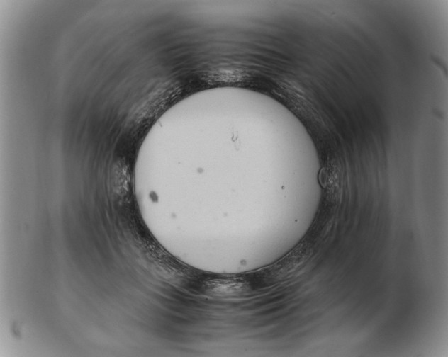 X0000102760555200809080944