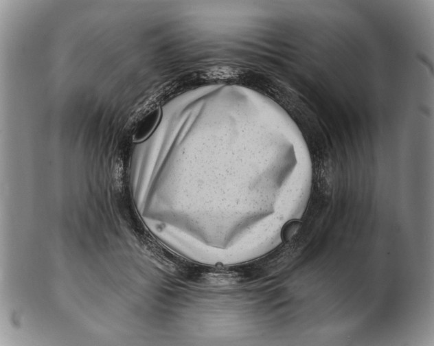 X0000102760556200809080944