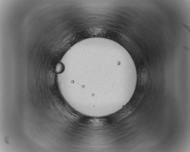 X0000102760558200809080944