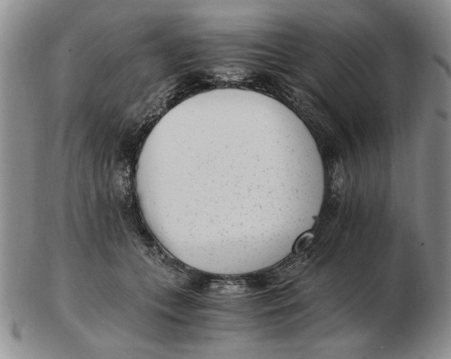 X0000102760559200809080944