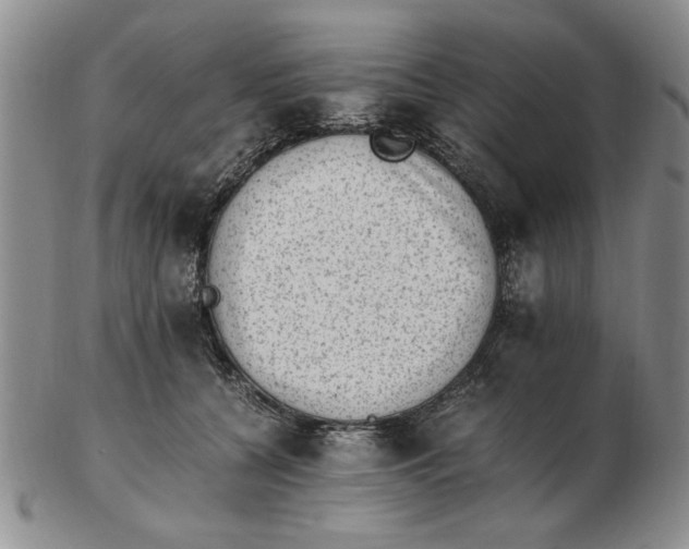 X0000102760560200809080944