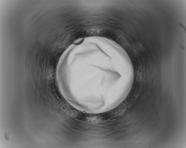 X0000102760561200809080944