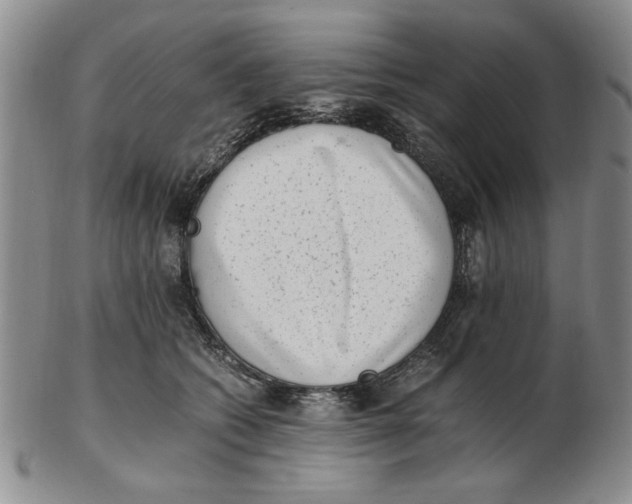 X0000102760562200809080944