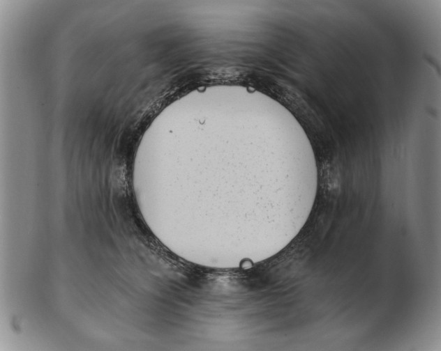 X0000102760564200809080944