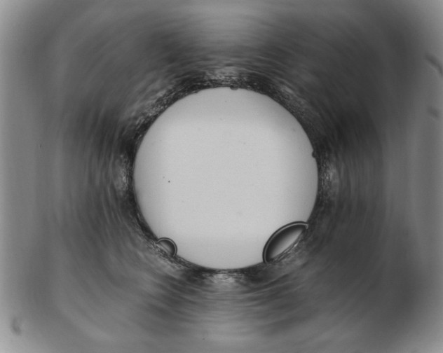 X0000102760566200809080944