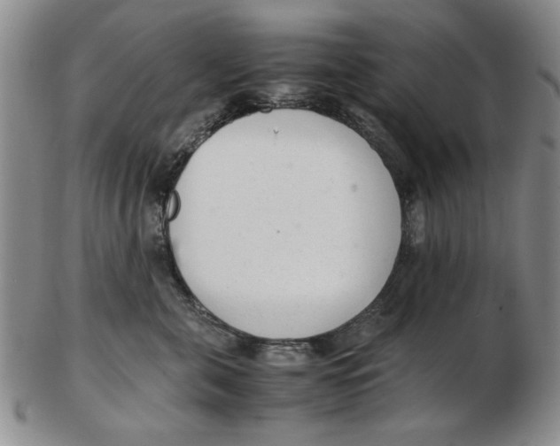 X0000102760571200809080944