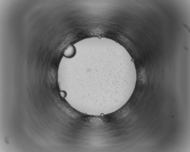 X0000102760572200809080944