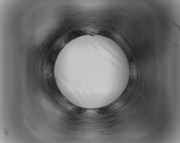 X0000102760573200809080944