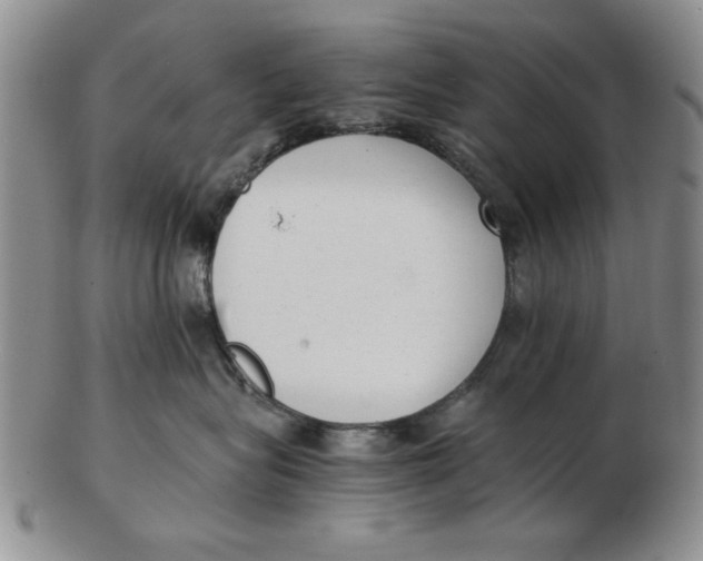 X0000102760575200809080944