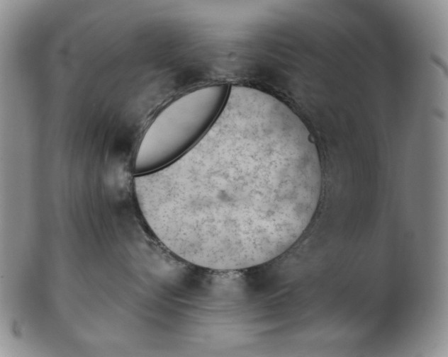 X0000102760576200809080944