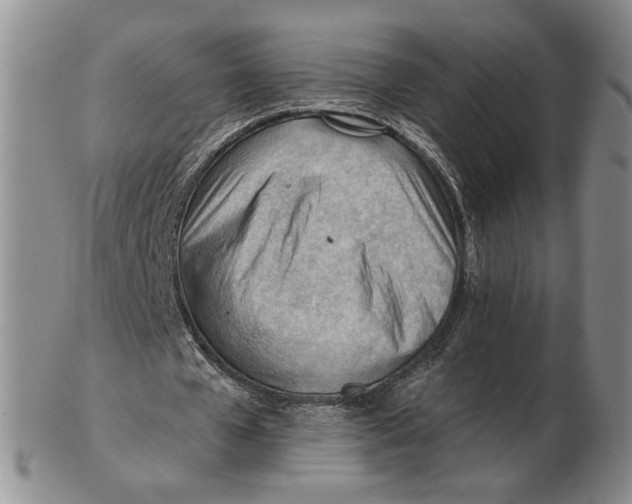 X0000102760577200809080943