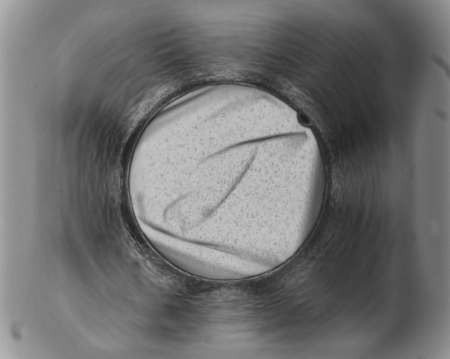 X0000102760578200809080943