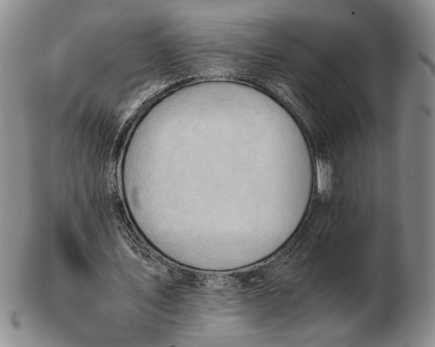 X0000102760579200809080943