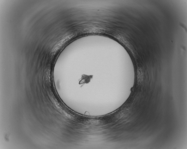 X0000102760581200809080943