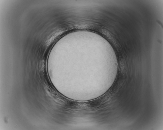 X0000102760583200809080943