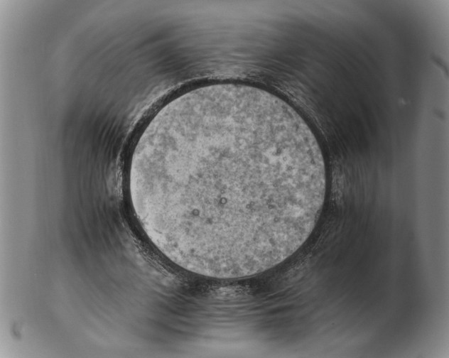 X0000102760584200809080943