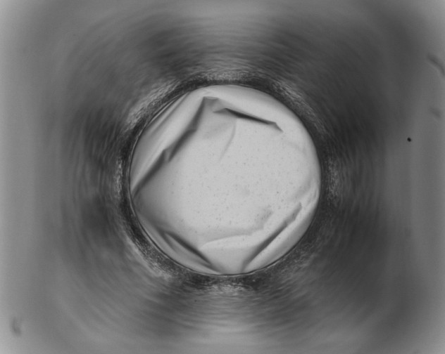 X0000102760586200809080943