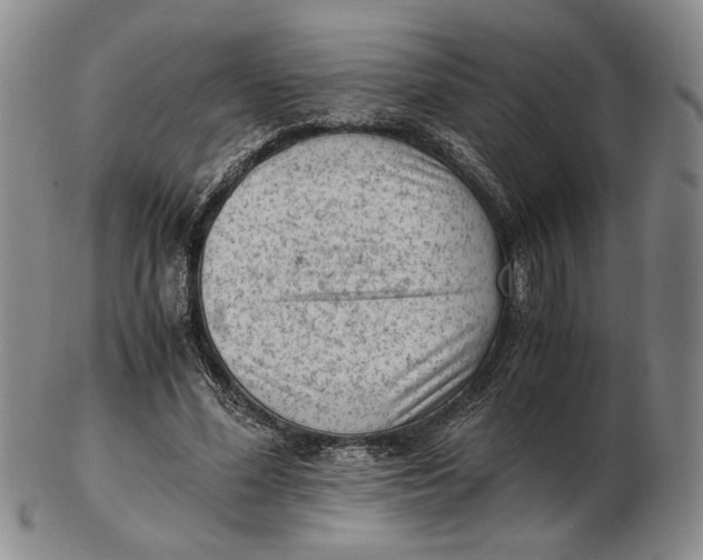 X0000102760588200809080943