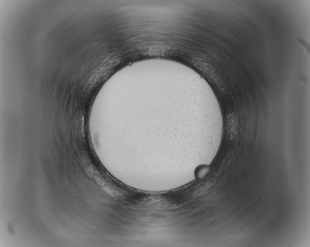 X0000102760589200809080943