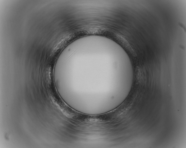 X0000102760590200809080943