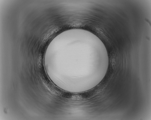 X0000102760591200809080943