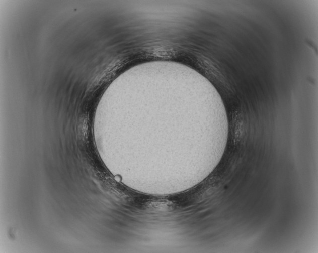 X0000102760595200809080943