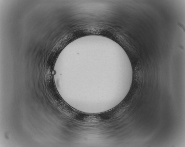 X0000102760597200809080943