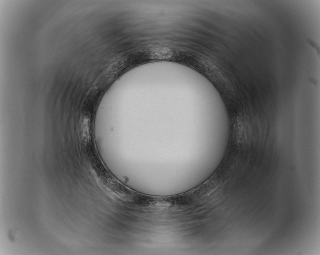 X0000102760598200809080943