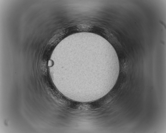 X0000102760599200809080943