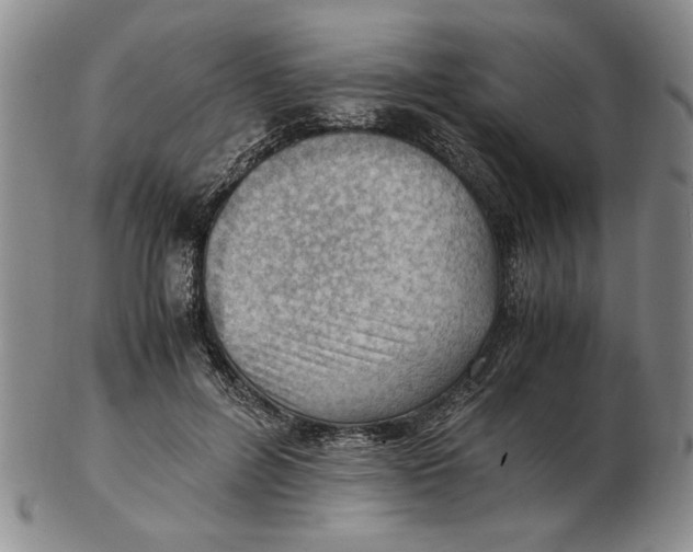 X0000102760600200809080943