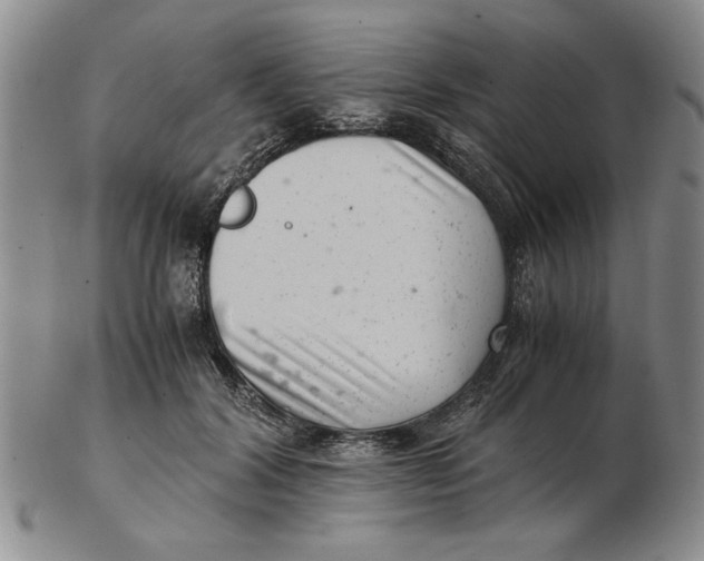 X0000102760604200809080943